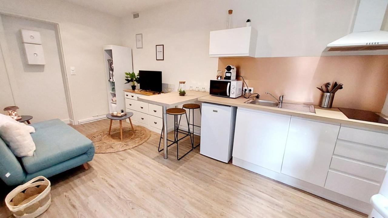 Cosy Yucca - 1Ch - Quartier Des Halles & Parking Pau Ngoại thất bức ảnh