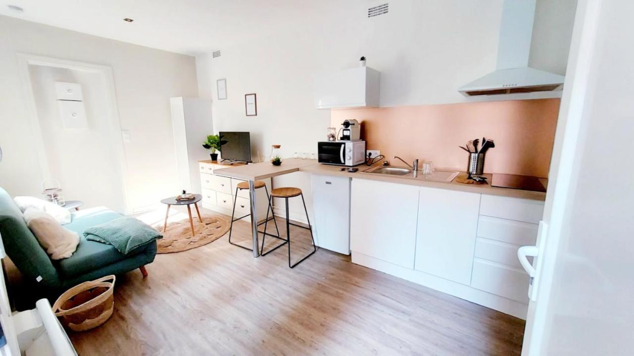 Cosy Yucca - 1Ch - Quartier Des Halles & Parking Pau Ngoại thất bức ảnh